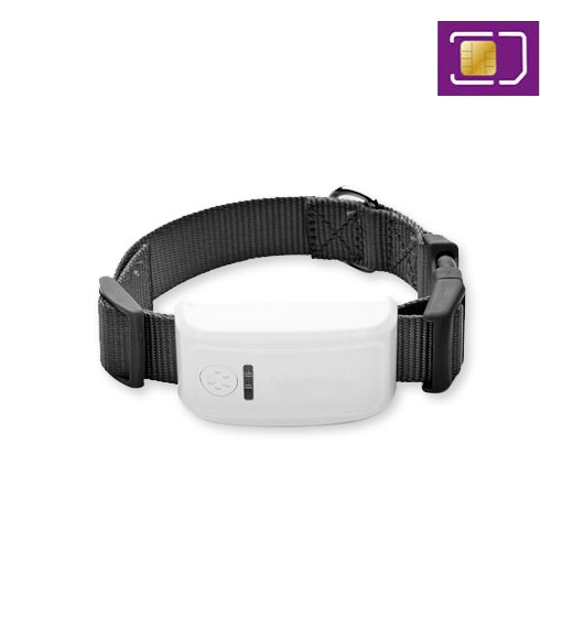 GPS-spårsändare TK-909 med halsband + Telia Refill 100kr