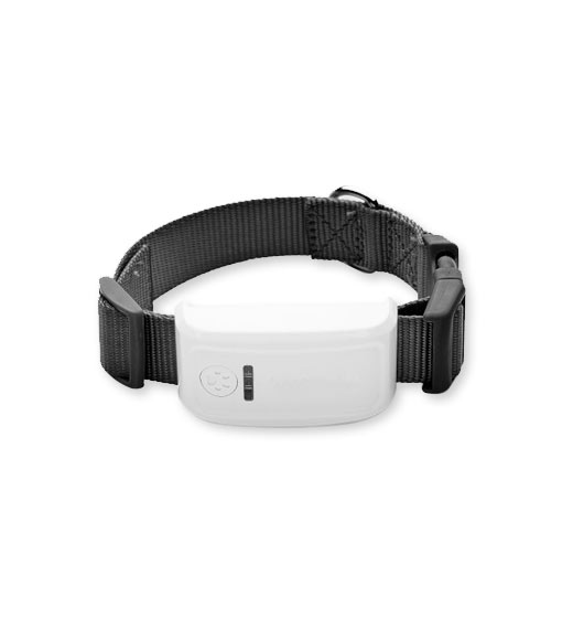 GPS-spårsändare TK-909 med halsband