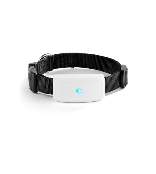 GPS-spårsändare TK-911 med halsband