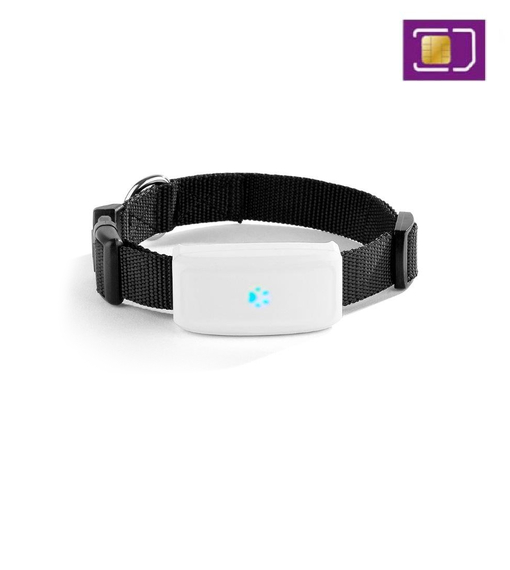 GPS-spårsändare TK-911 med halsband + Telia Refill 100kr